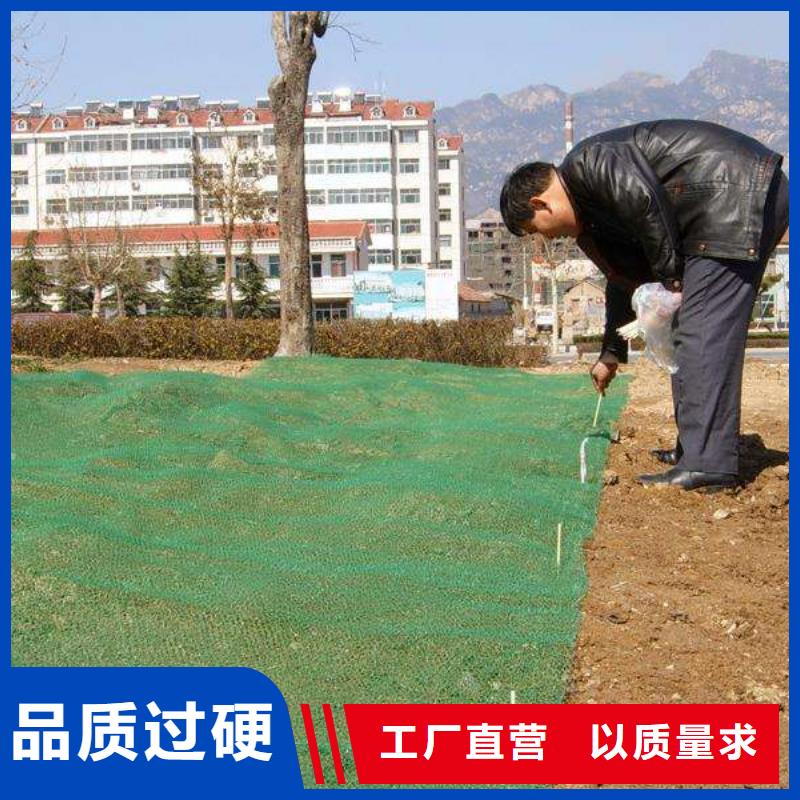 【三维植被网】防渗膜高标准高品质当地厂家