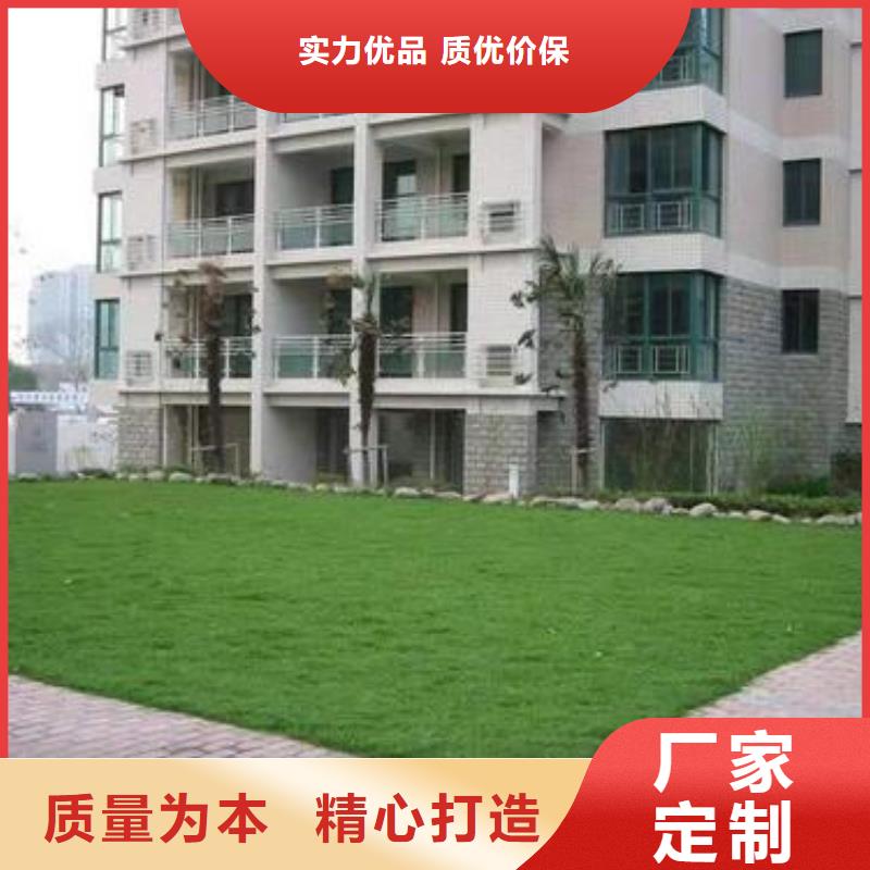 【植草格】_双向拉伸塑料格栅品质优选当地品牌