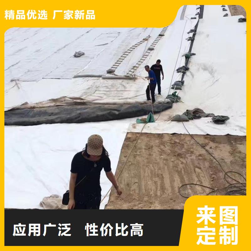 三维复合排水网防渗土工膜对质量负责价格实惠