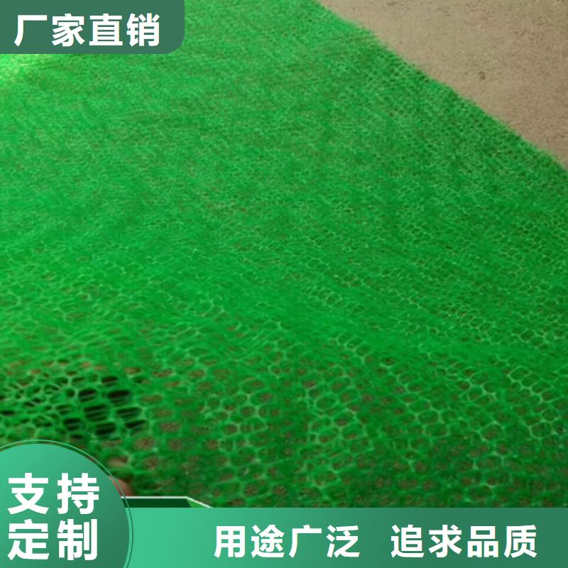 【三维植被网-软式透水管好品质用的放心】保障产品质量