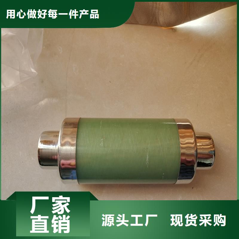 XRNP1-24KV/0.5A限流熔断器厂家直销