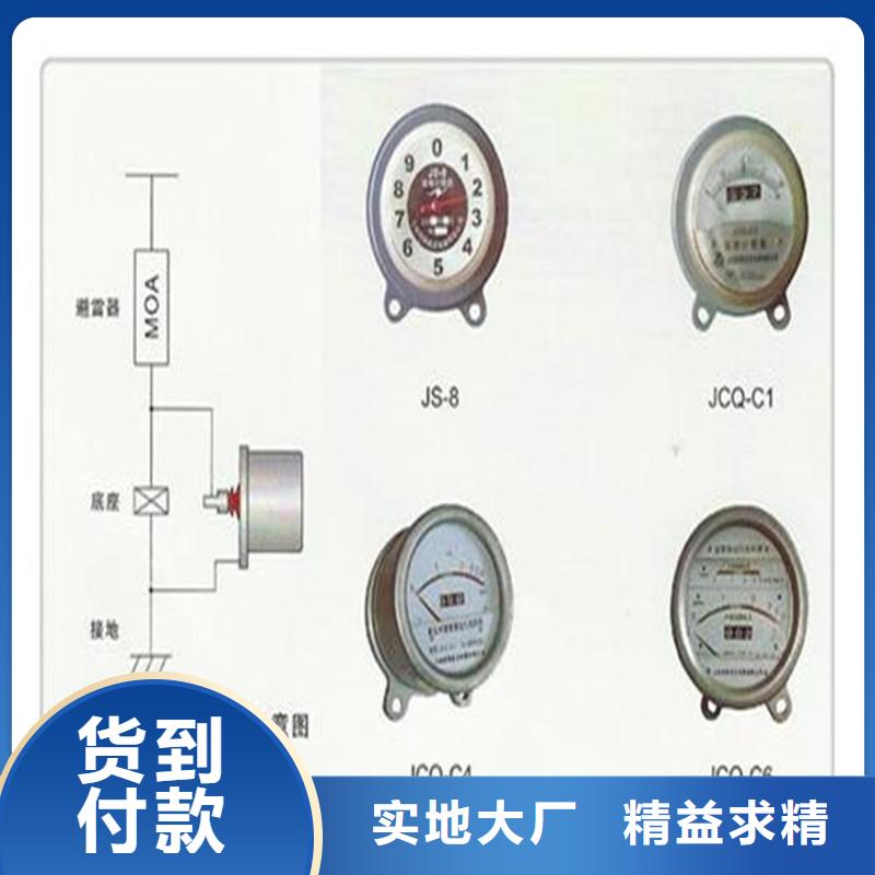 JCQ-C避雷器计数器特征一致好评产品