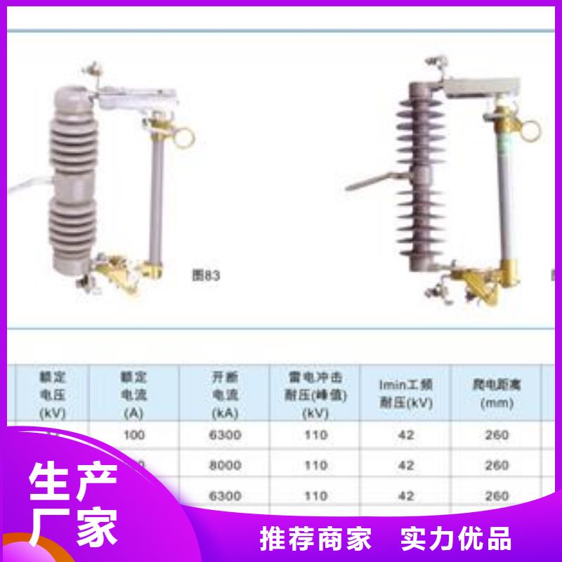 PD3-36/100A出口型跌落保险高性价比