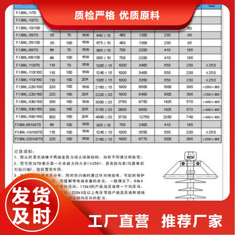 FS4-126/8绝缘子樊高本地厂家值得信赖