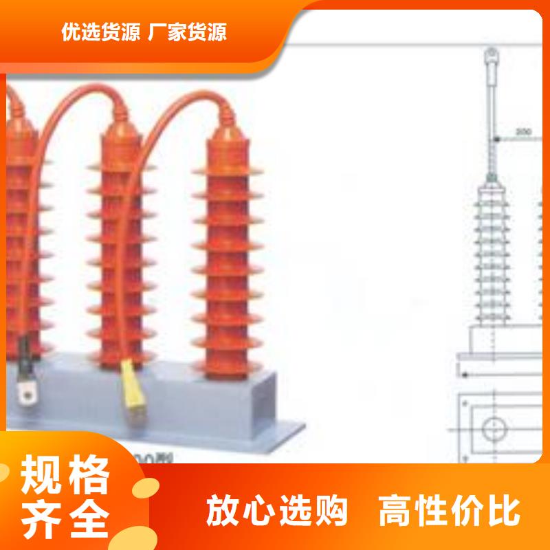 TBP-C-42F/630W2三相组合式过电压保护器樊高电气正品保障