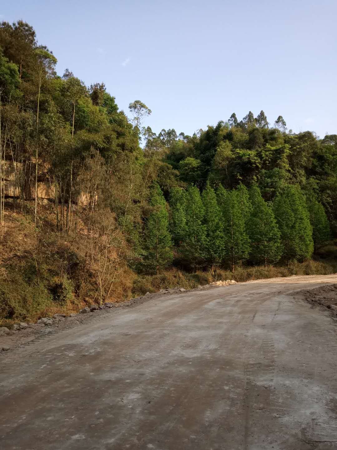 矿山修复尾矿充填软土固化剂质保一年同城供应商