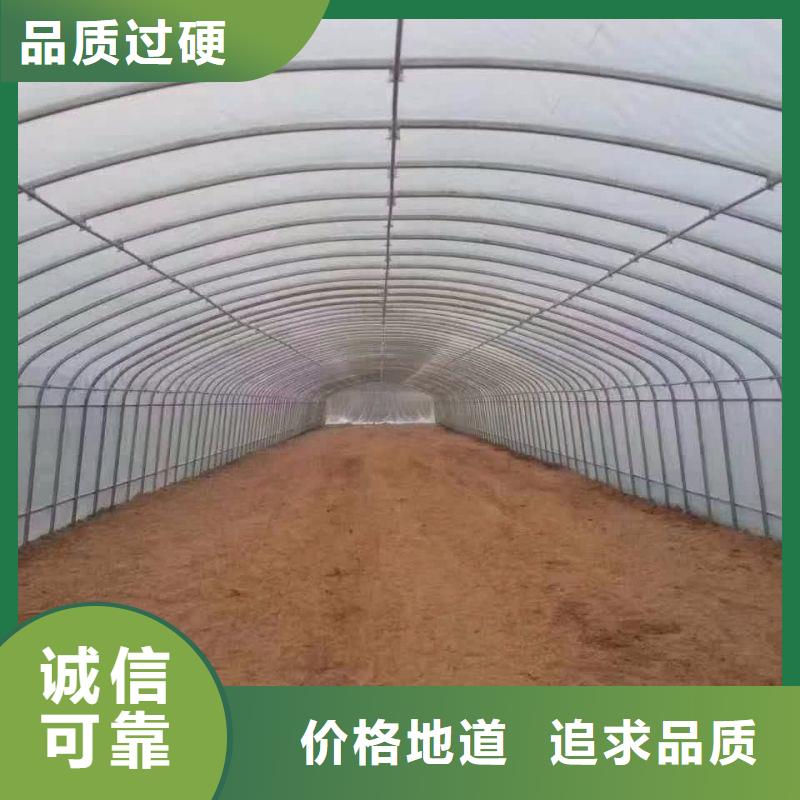 资溪种植大棚质优价廉品质不将就