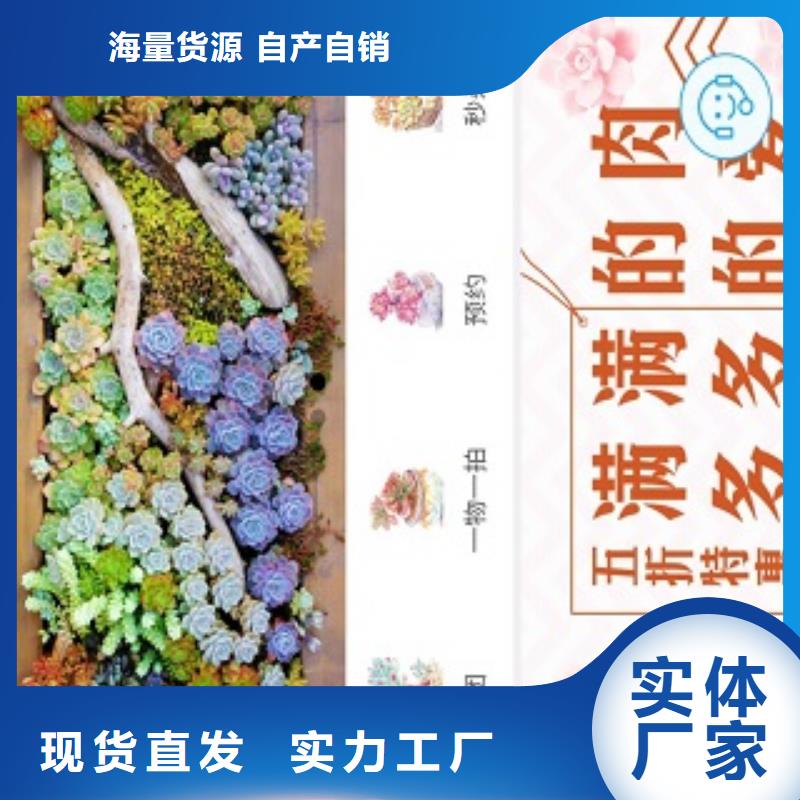 小程序制作物联网app开发物流配送定制零售批发