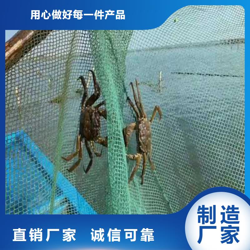 南方大螃蟹价格本地生产商