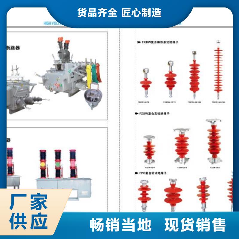 【高压隔离开关绝缘子专业厂家】品质优选