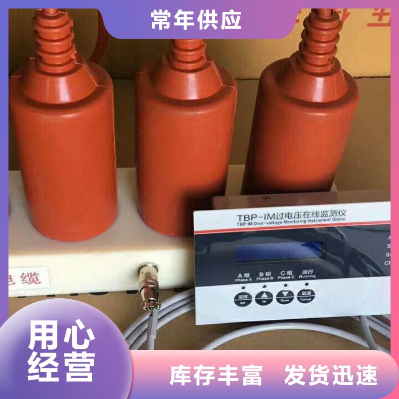 【过电压保护器】TBP-C-10.5/131-J当地生产厂家