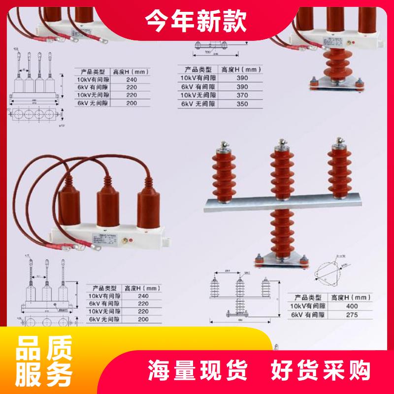 【】保护器(组合式避雷器)RY-GDY2-A/10组合过电压保护器实力见证