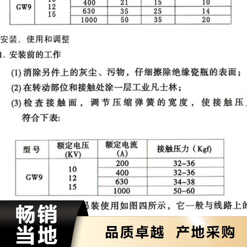 户外高压隔离开关HGW1-12KV/400本地厂家