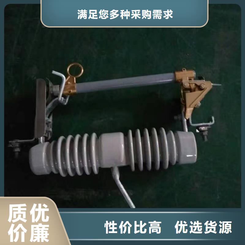 【高压熔断器】跌落式熔断器RW12-12KV-100A当地公司