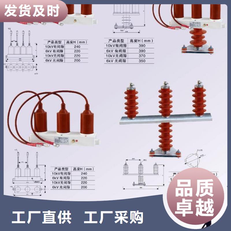 【定安县】〖过电压保护器〗RY-GDY2-C/10组合过电压保护器实体厂家专注细节使用放心