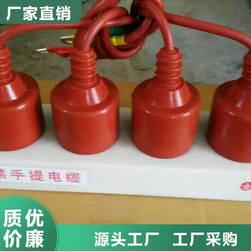 【】保护器(组合式避雷器)TBP-W-A/10-T组合过电压保护器专业生产厂家