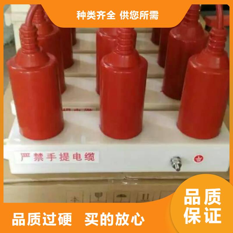 【】保护器(组合式避雷器)RY-GDY1-A/10组合过电压保护器当地生产厂家