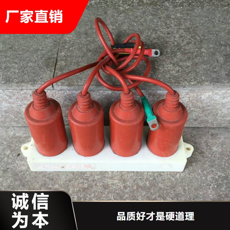 【羿振电气】过电压保护器TBP-A-42F/630W2同城厂家