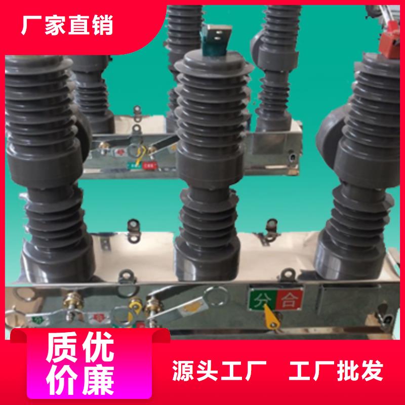 【柱上断路器】永磁断路器ZW32-12/M630-20支持定制