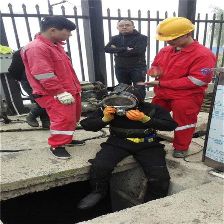 庄河市水下录像摄像服务-实力派潜水队