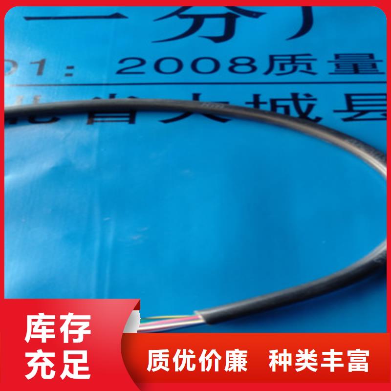 ZRA-HSGWPP22铠装网线2X5L质优价廉当地生产商