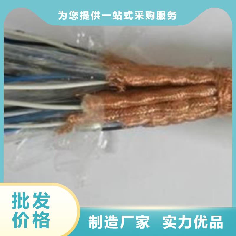 耐火计算机电缆NH-DJVPVP22优选供货商品质有保障