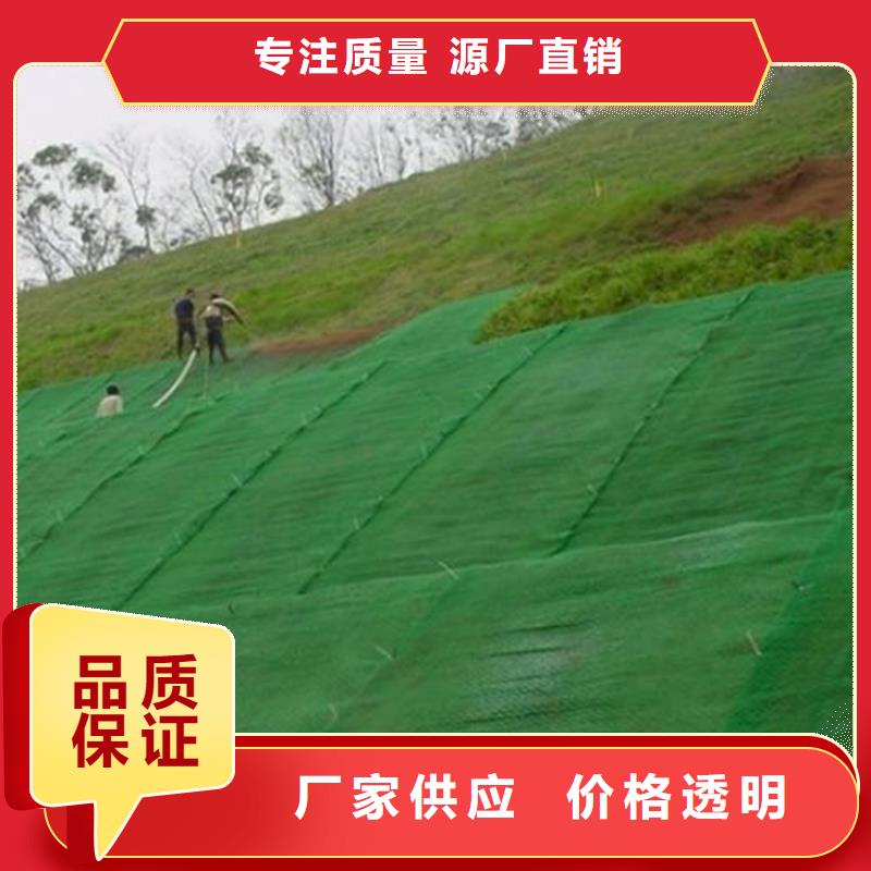 三维植被网土工格栅有口皆碑同城供应商