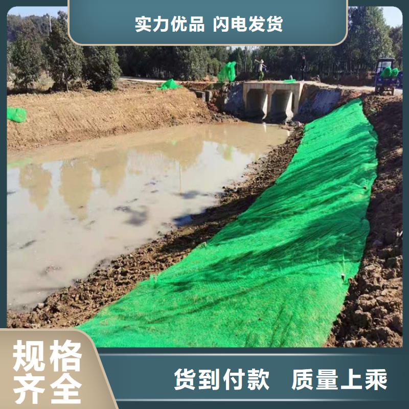 三维植被网防水板把实惠留给您重信誉厂家