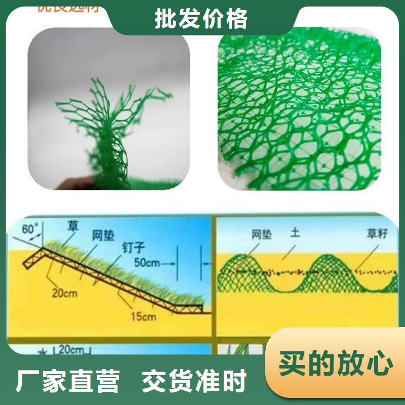 【三维植被网】聚丙烯纤维现货采购细节展示