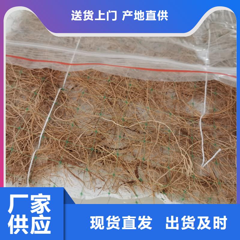 加筋抗冲生物毯-植物纤维毯施工范围放心购