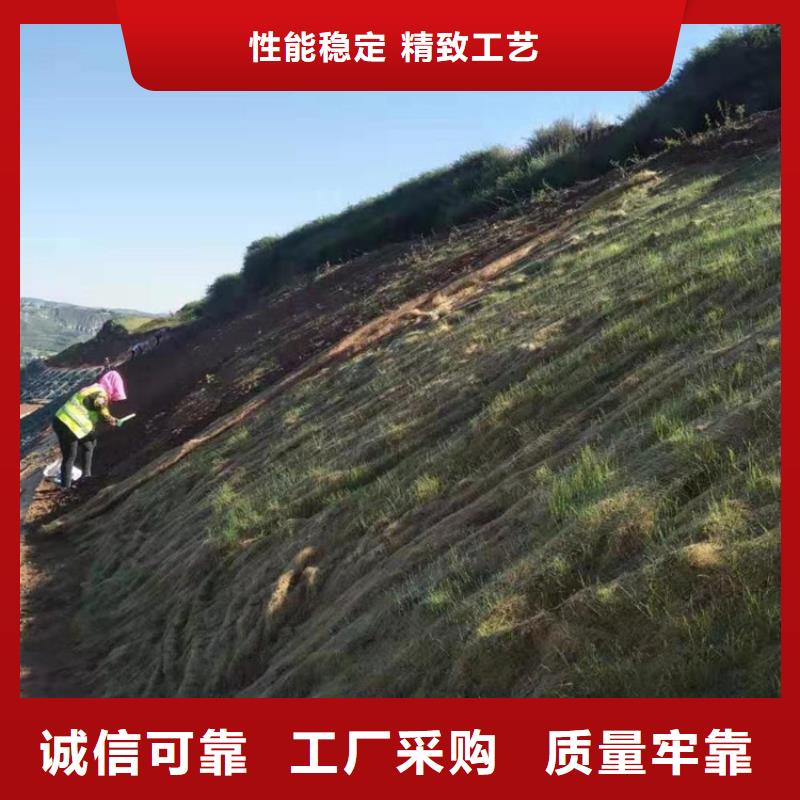 公路植生毯水保植生毯当地服务商