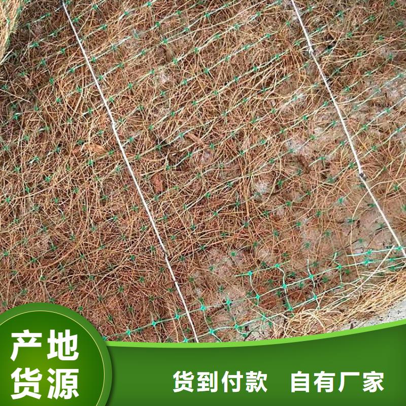 加筋抗冲生物毯-椰丝植生毯-环保植生毯细节决定品质