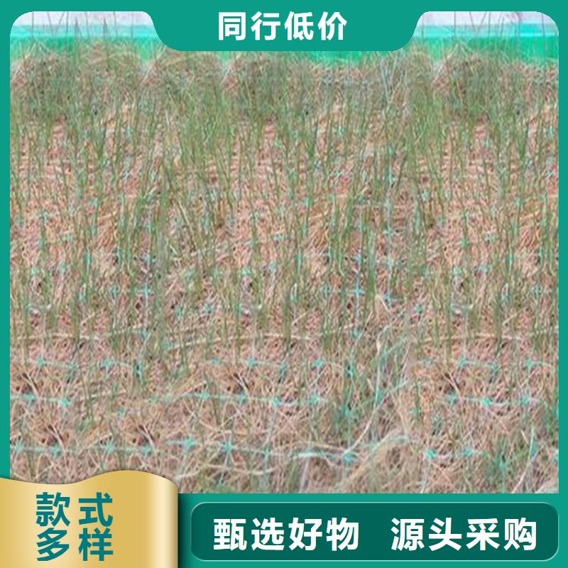 植物纤维毯-绿化植被垫本地生产厂家