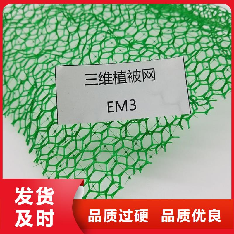 三维植被网当地代理品质好才是硬道理