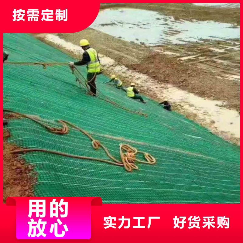 加筋抗冲生物毯椰丝植生毯产品细节参数