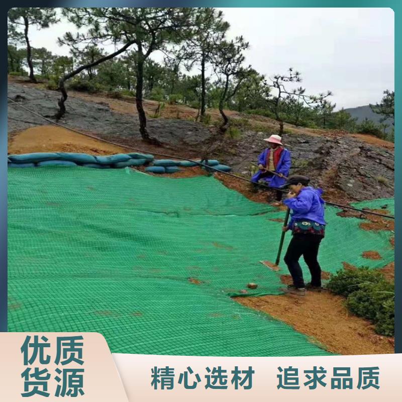 加筋抗冲生态毯-护坡植被植草毯-椰丝环保草毯支持定制贴心售后