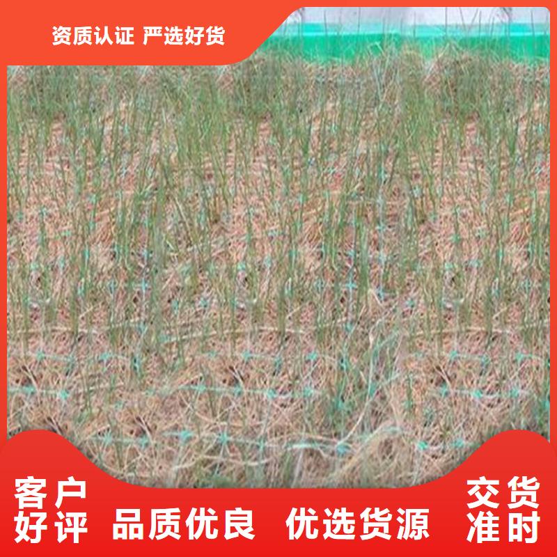 植物生态防护毯解决方案生产型