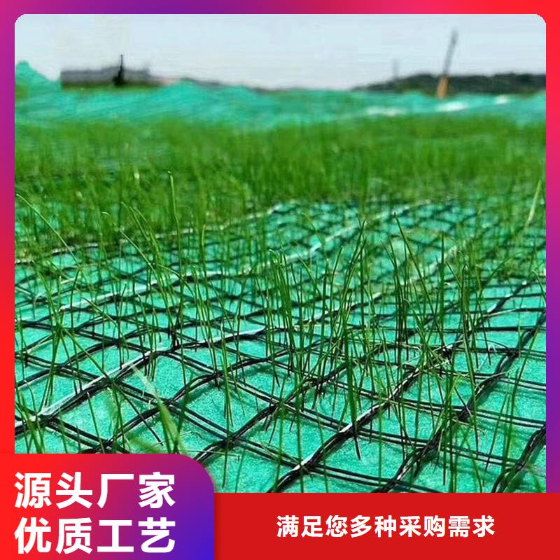 秸秆植被纤维毯加筋-防护施工专业生产厂家