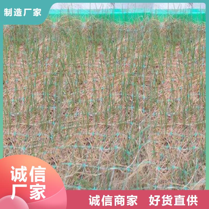 植物生态防护毯-加筋抗冲生物毯优良工艺