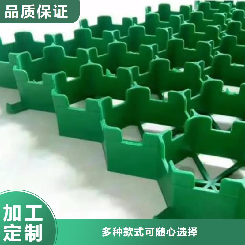 塑料植草格产品-批发零售当地公司