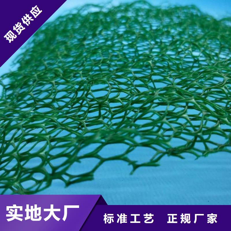 【三维植被网排水板N年专注】定制速度快工期短