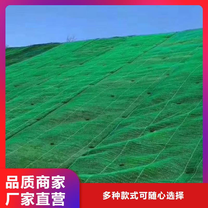 三维植被网,植草格定制不额外收费本地经销商