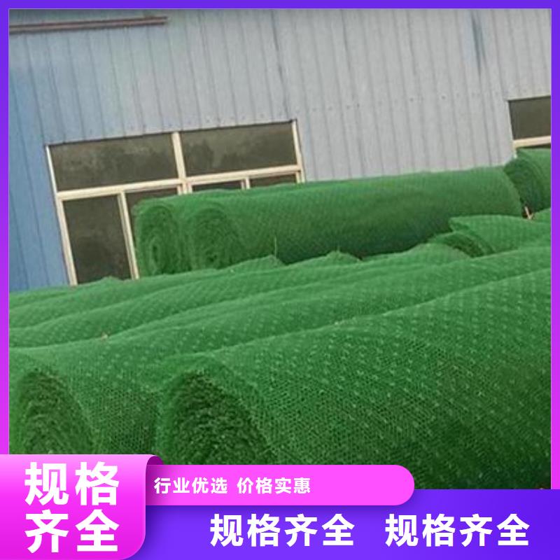 【三维植被网】_植草格专业供货品质管控同城公司