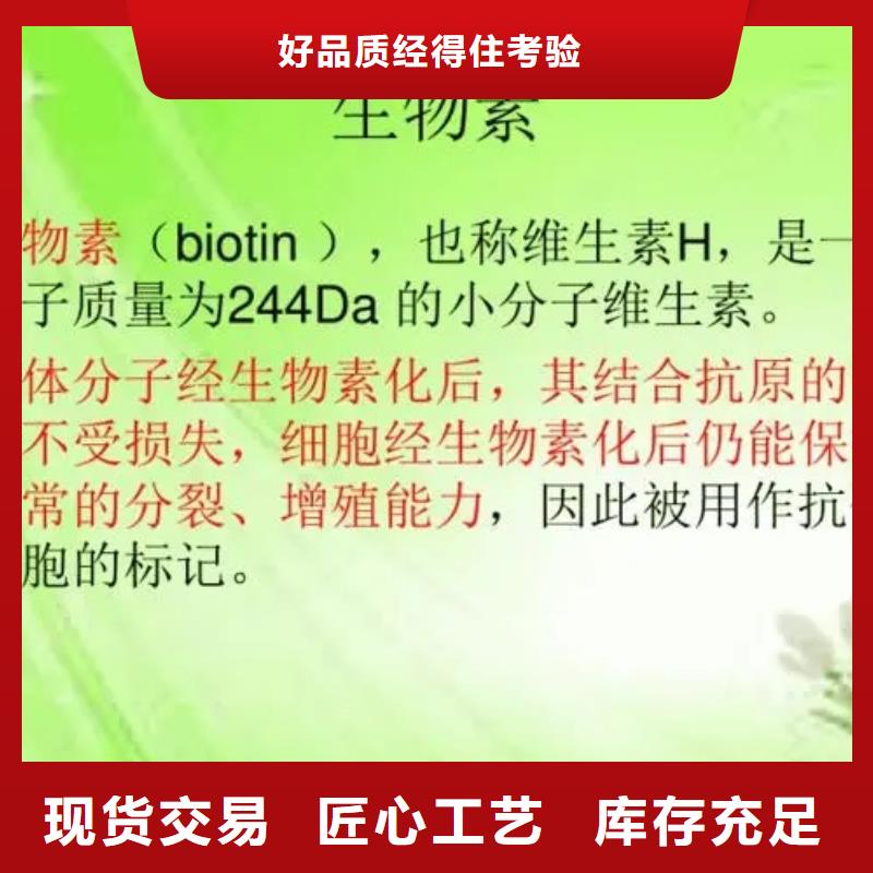 新和水溶性维生素参数多种规格供您选择