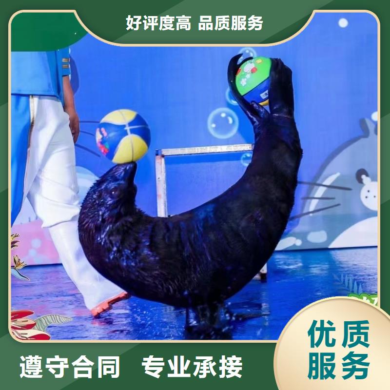 海洋生物展出租制作商当地生产厂家