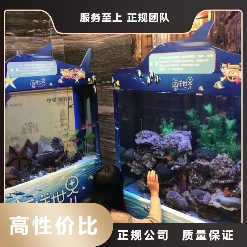 哪有出租企鹅的联系方式当地制造商