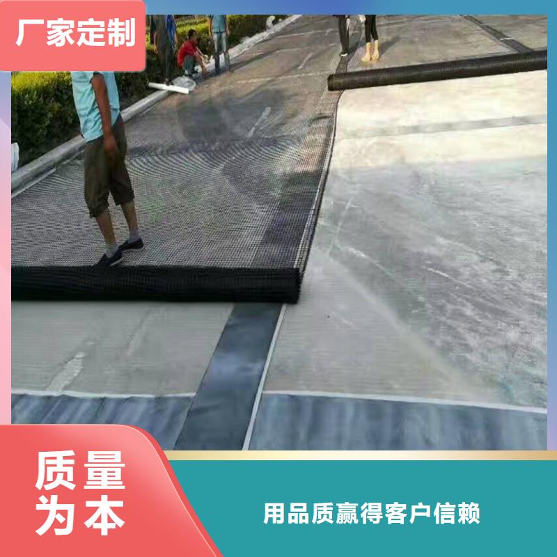 双向塑料土工格栅直销价格质量上乘