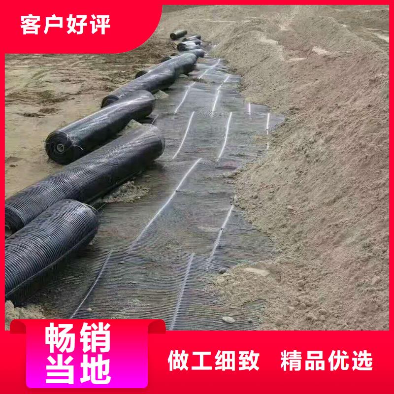 玻纤土工格栅批发价格有实力有经验