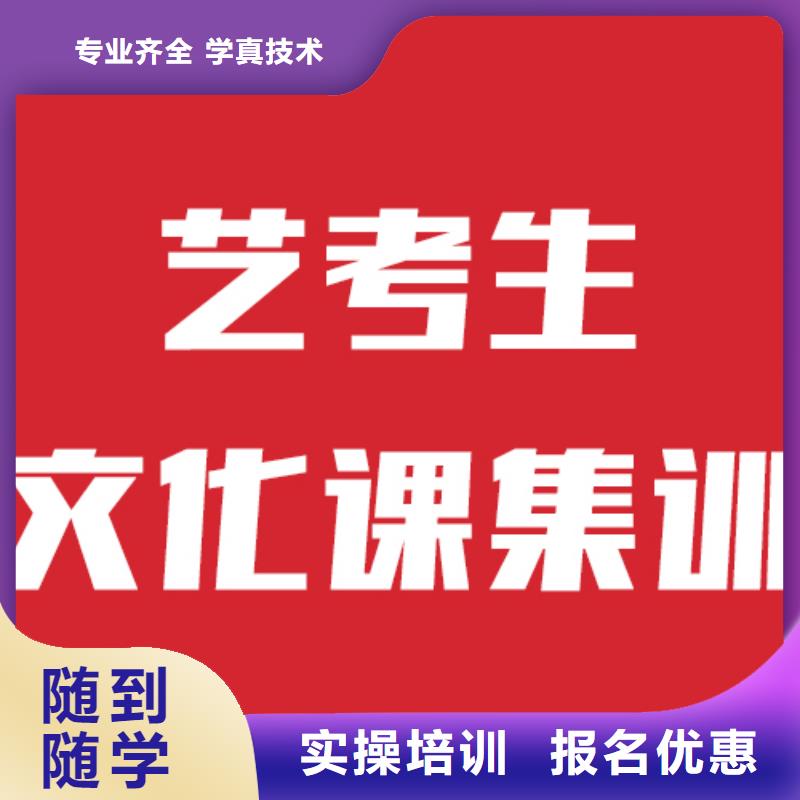 艺考文化课排行榜双文化课教学实操培训