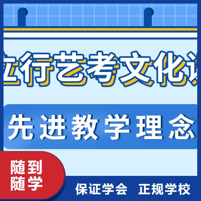 艺考生文化课补习能不能行？本地公司